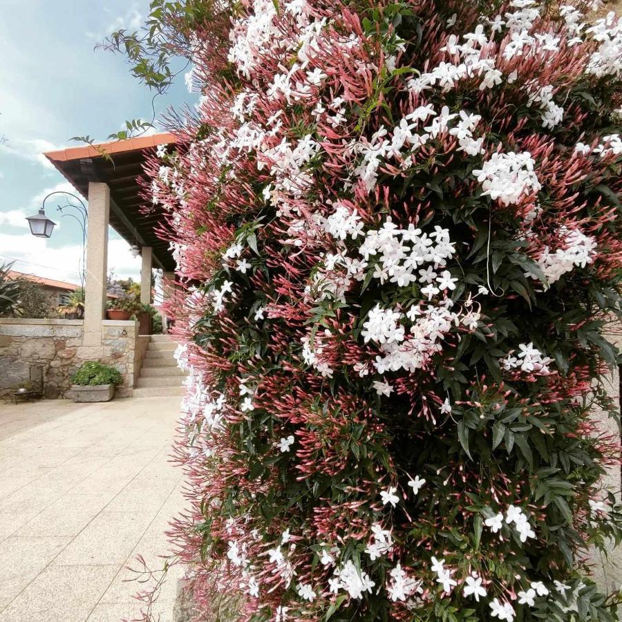 Casas Casal Do Carvalhal - Agroturismo Amares Luaran gambar
